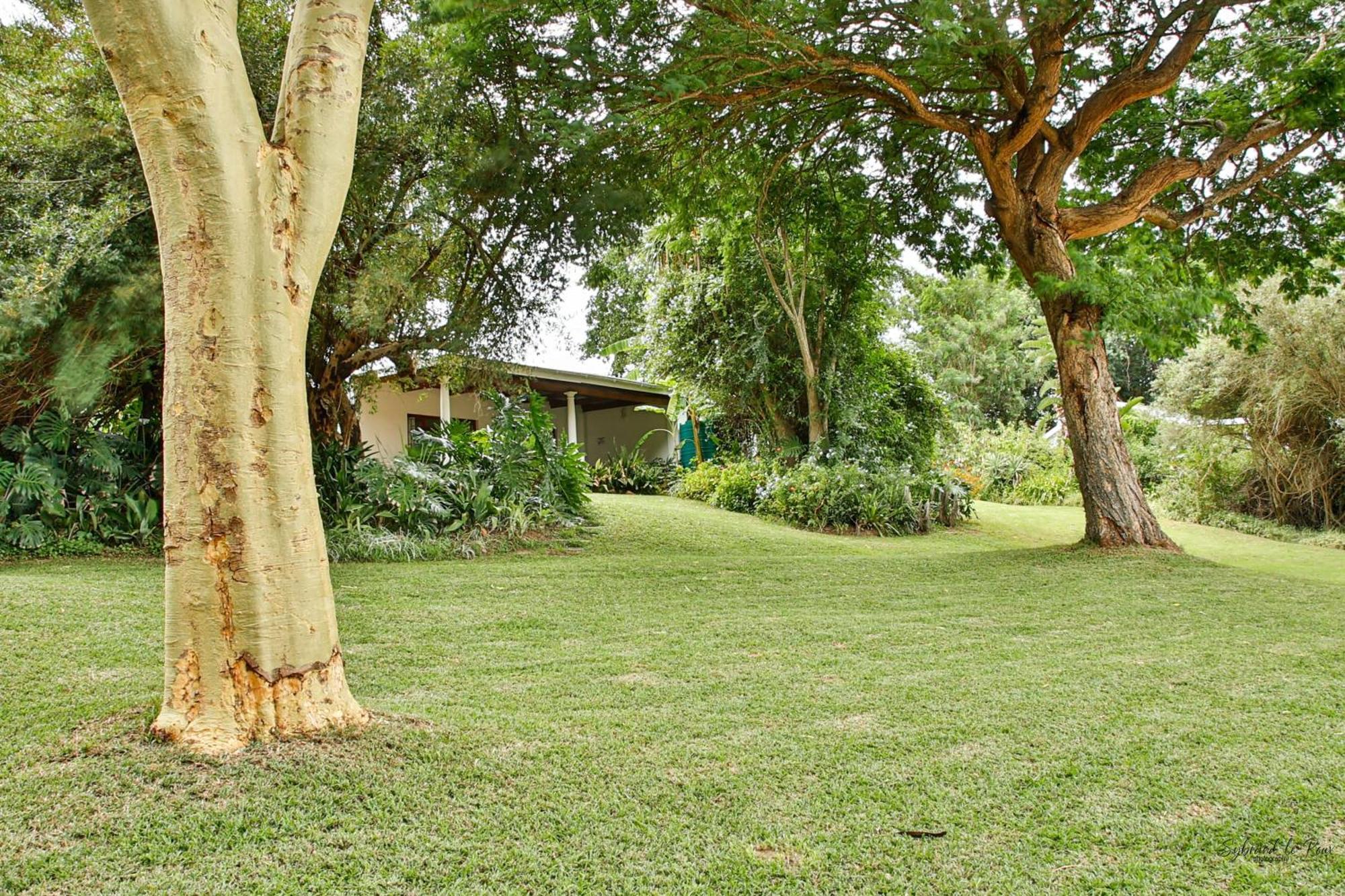 Ndlovu Addo River Lodge Kirkwood Buitenkant foto